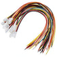 2 Pin Female JST-PH2.0 Cable (20cm)